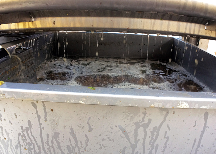 chardonnay falling out of the press